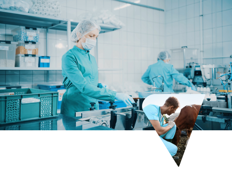 Aprilia Animal Health - Pharmaceutical Product Transfer